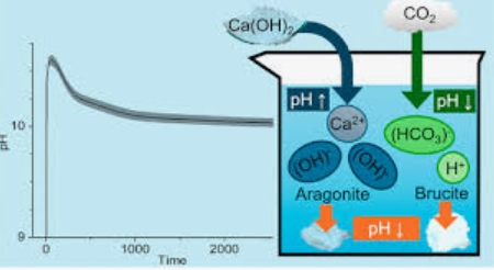 Can Ca²⁺ Dissolve OH⁻? Exploring the Interaction Between Calcium Ions and Hydroxide Ions