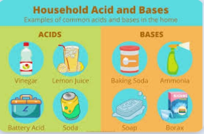 List the Name of Three Things That Have Acids? 