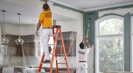 What are the best and most professional painting companies and painting contractors near me?
