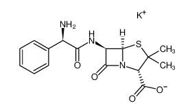 ampicillin potassium