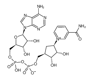 1-((1R,2S,3R,4R)-4-((((((((2R,3S,4R,5R)-5-(6-amino-9H-purin-9-yl)-3,4-dihydroxytetrahydrofuran-2-yl)methoxy)hydroxyphosphoryl)oxy)oxidophosphoryl)oxy)methyl)-2,3-dihydroxycyclopentyl)-3-carbamoylpyridin-1-ium