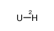 Deuterium Uranium