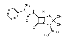 ampicillin