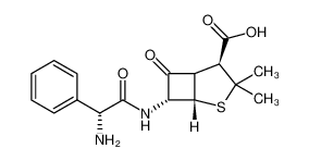 ampicillin