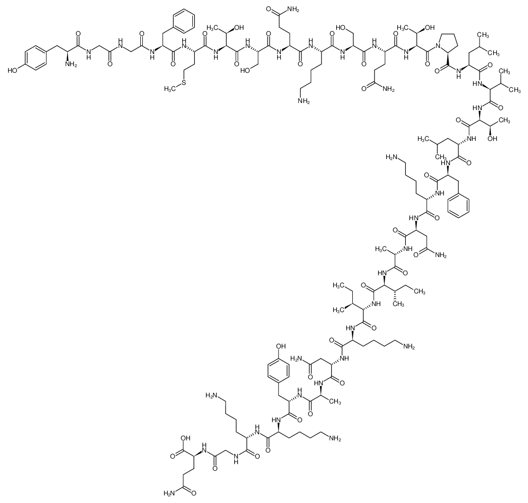 β-endorphin