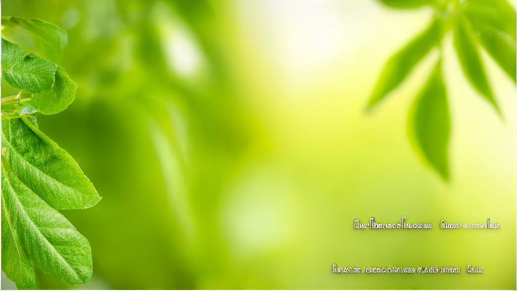 Exploration: Where Can I Find Tea Tree Oil? Which Brands and Retailers Can Be Trusted?