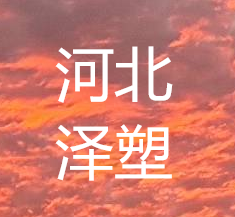 Hebei Zesu Chemical Technology Co., Ltd