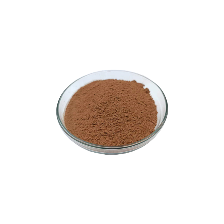 Oriental Arborvitae Leaf Extract