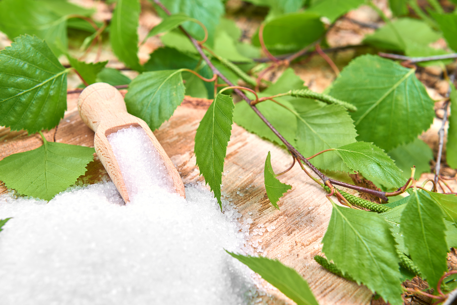 Natural Camphor
